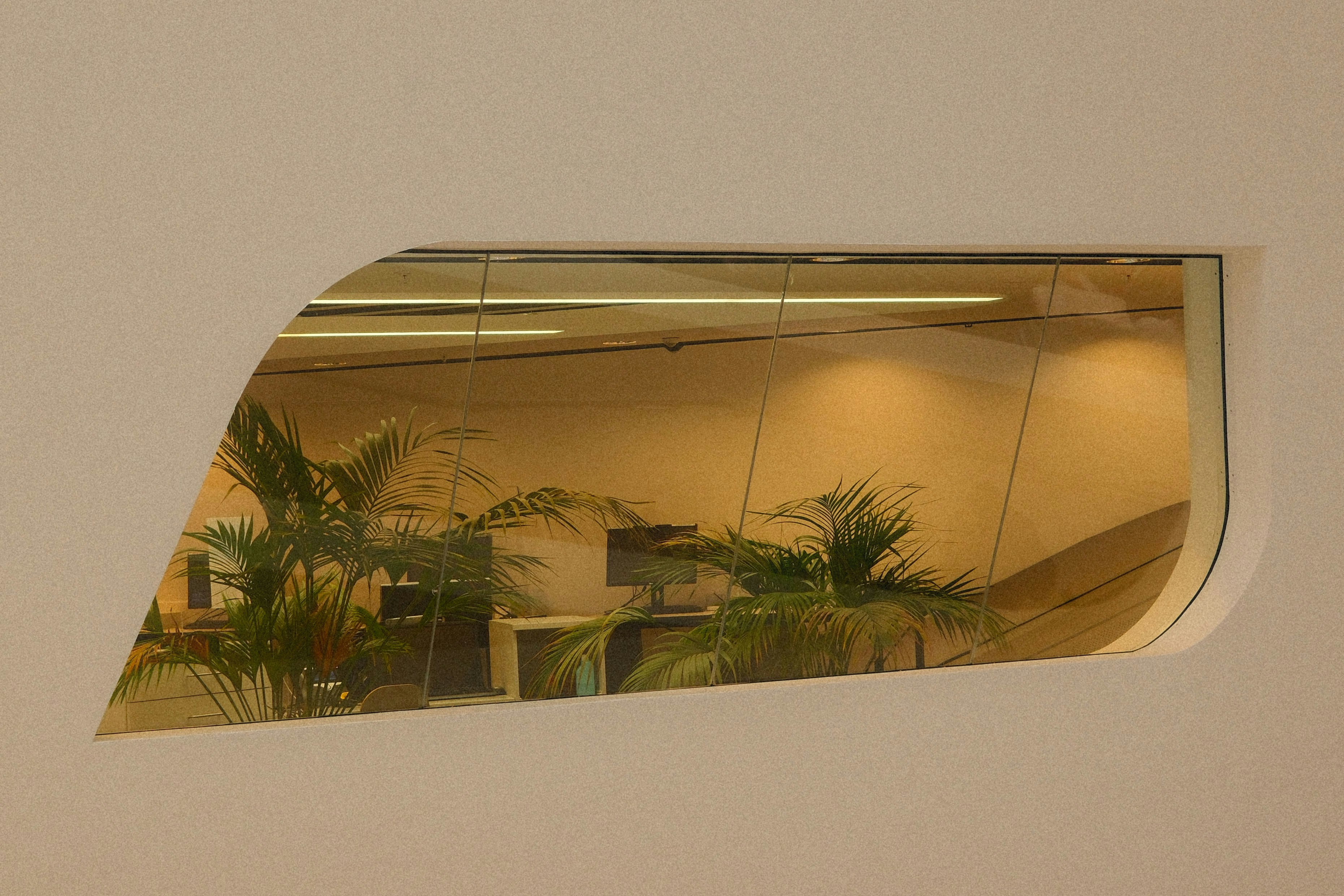 Plants reflect in a unique window.